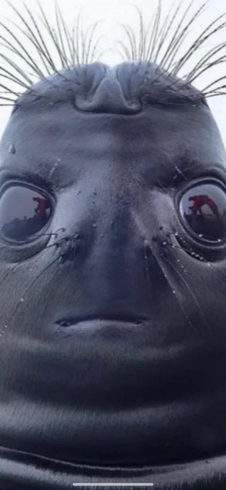 NanoArmour Apple Watch SE Screen Protector - Customer Photo From James Jarrell